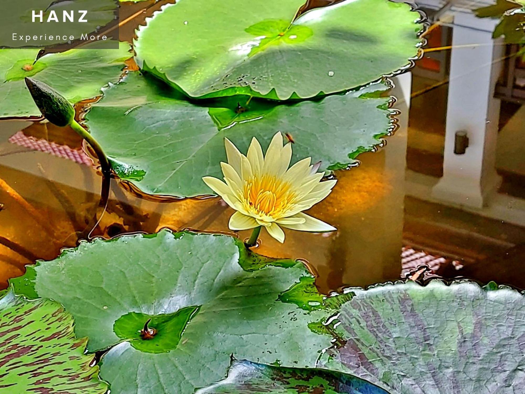 Sunrise Luang Prabang Hotel Ngoại thất bức ảnh