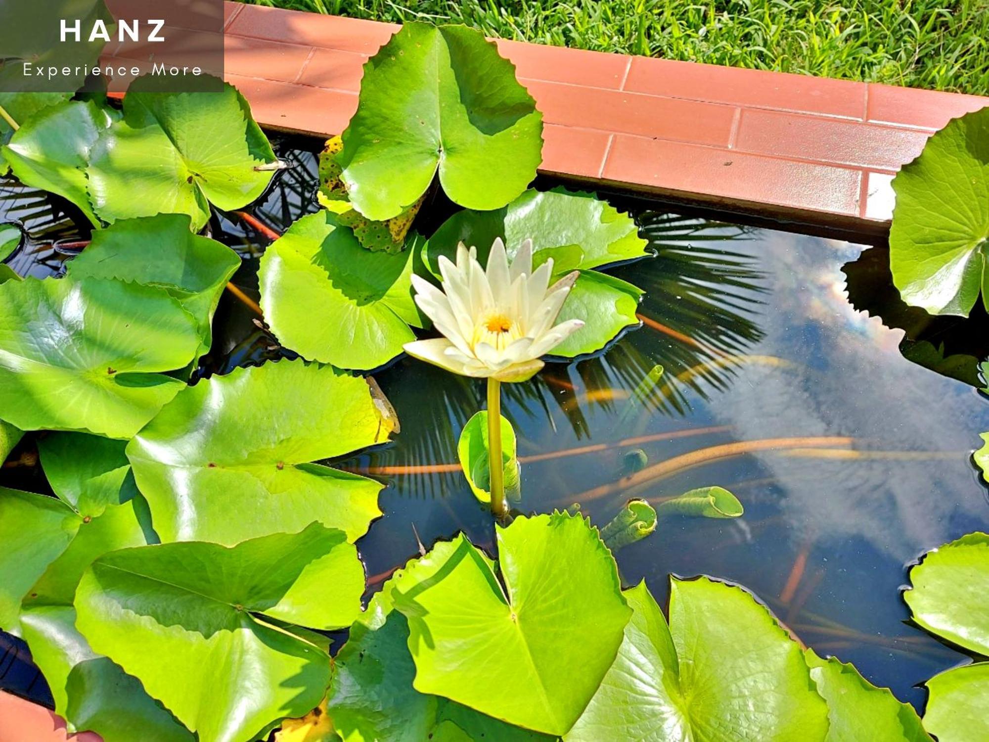 Sunrise Luang Prabang Hotel Ngoại thất bức ảnh