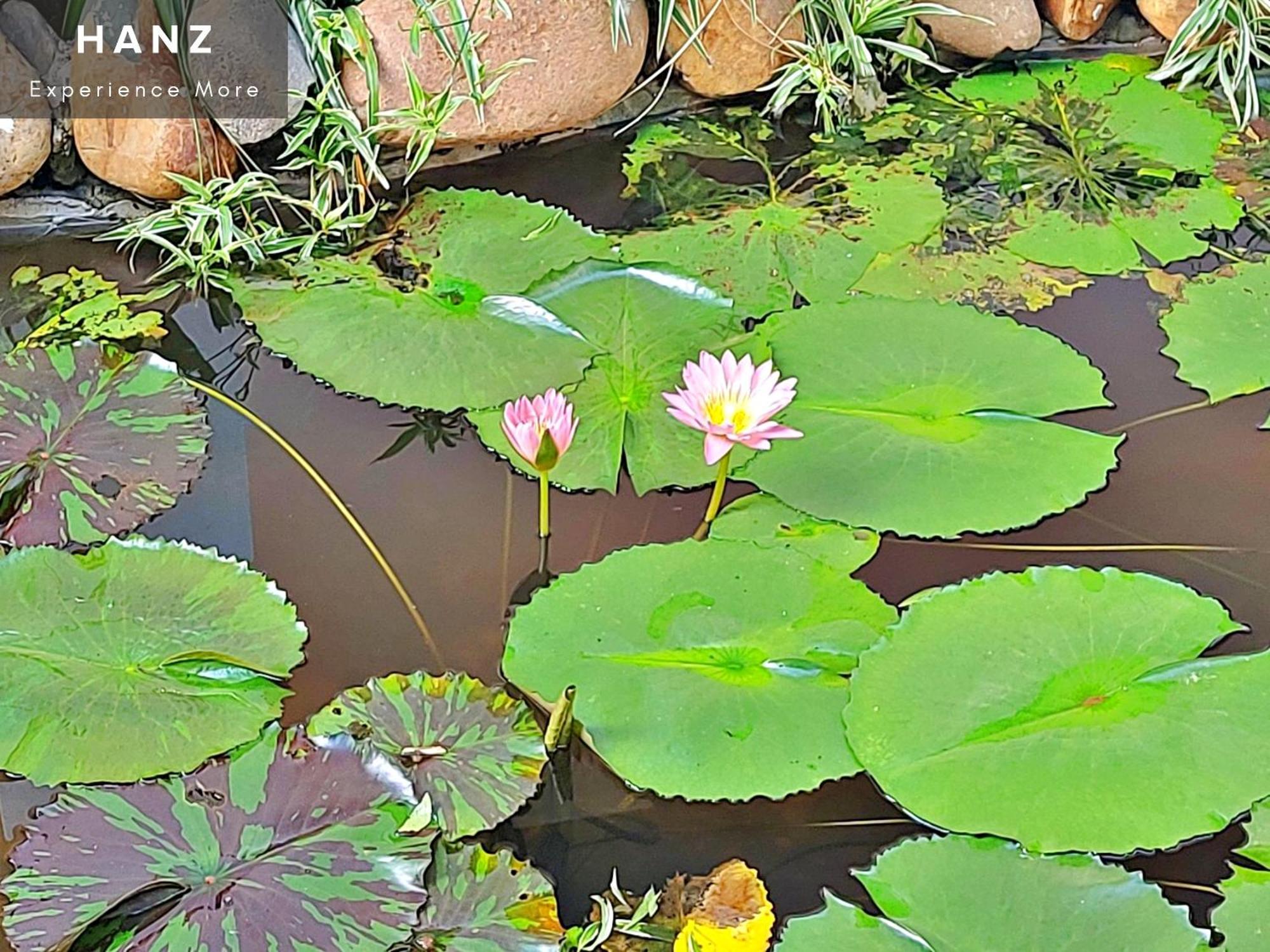 Sunrise Luang Prabang Hotel Ngoại thất bức ảnh