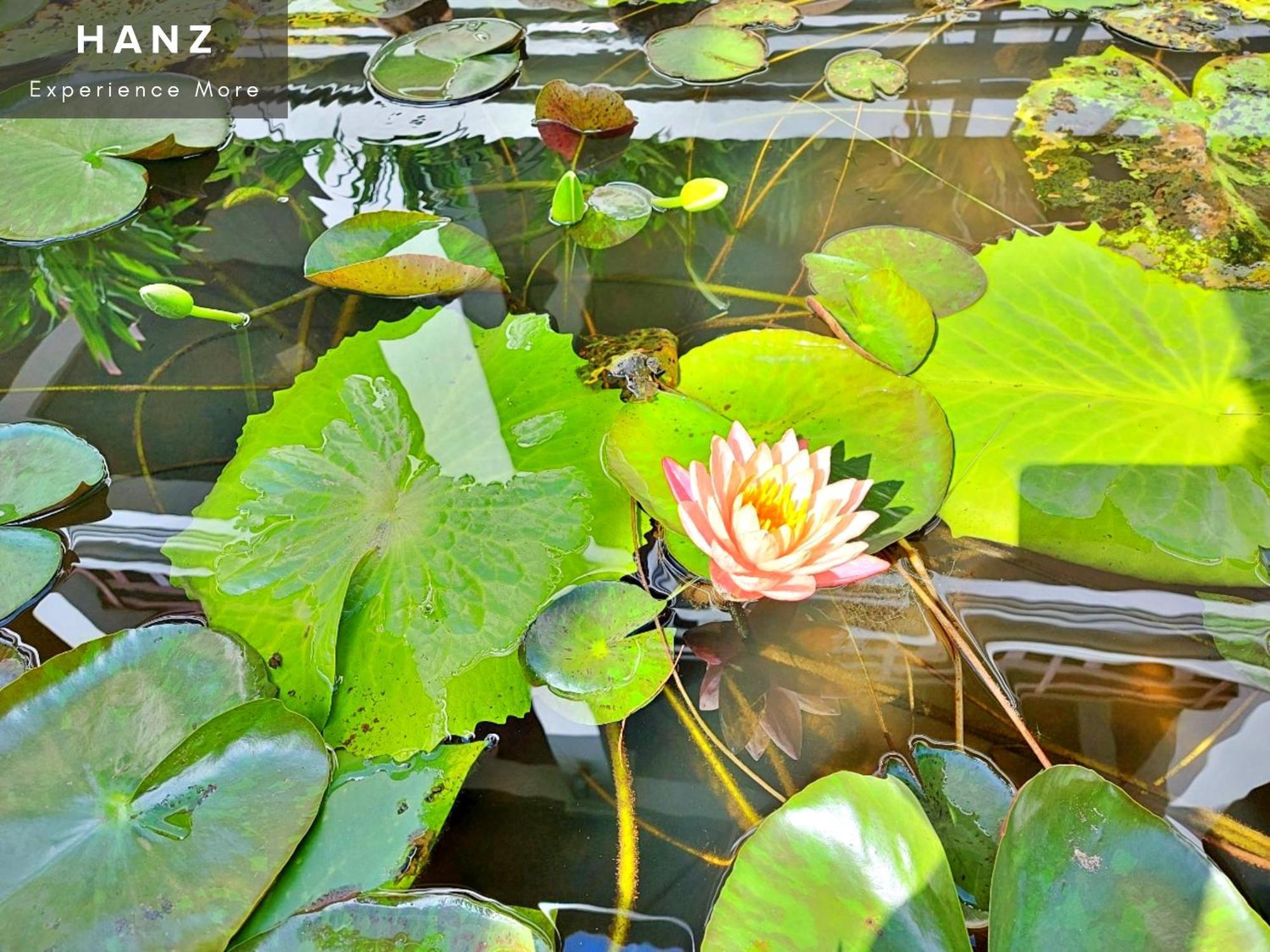 Sunrise Luang Prabang Hotel Ngoại thất bức ảnh